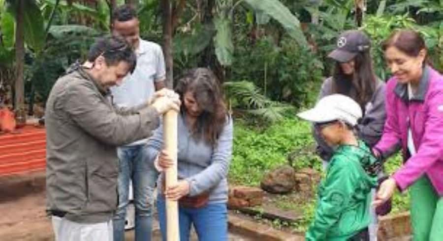 Arusha: Coffee Plantation Tour with Tasting and Hands-On … - Picking, Pulping, Drying, Roasting: The Hands-On Coffee Processing