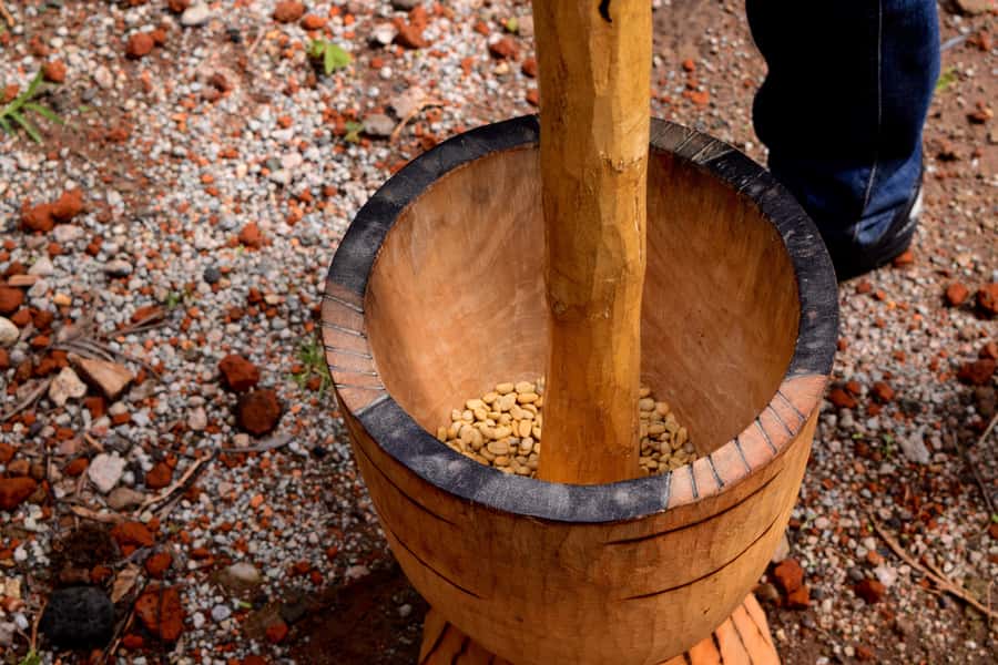 Arusha: Coffee Tour - Who this tour is best for (and who might want to skip it)