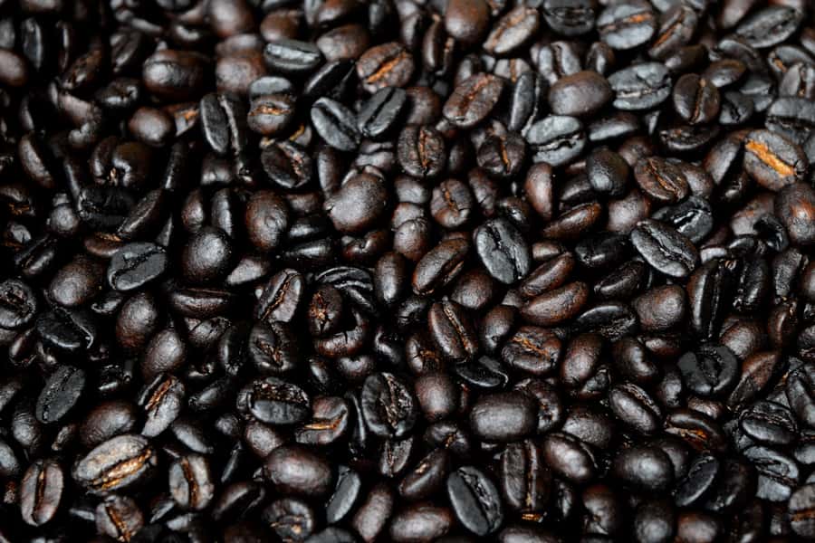 Arusha: Coffee Tour - Should you book this Arusha coffee tour?