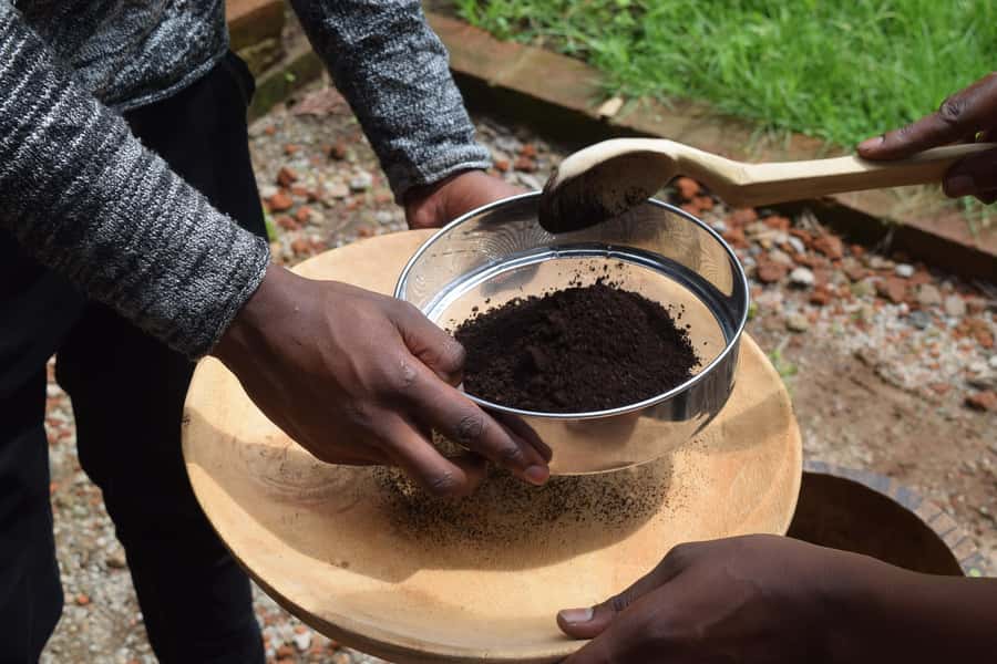Arusha: Coffee Tour - Organic farming you can see: picking, protecting, and processing
