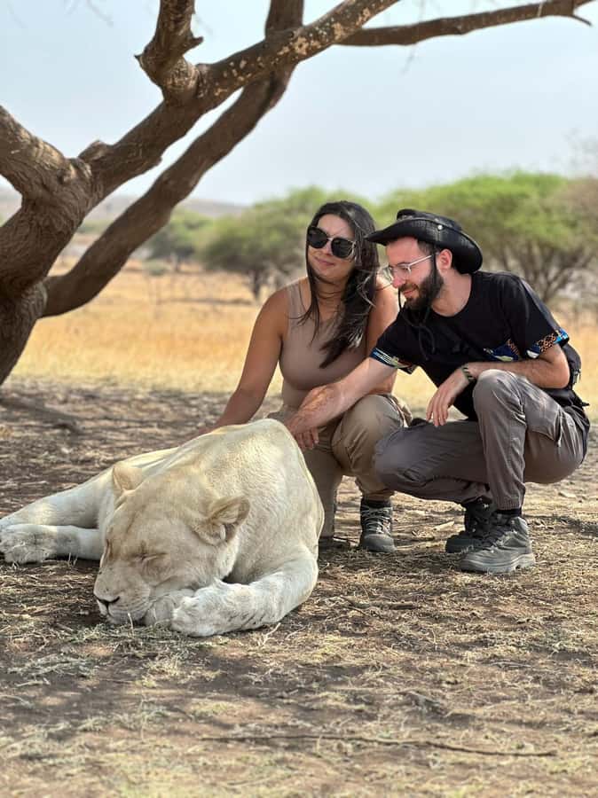 Arusha: Day Trip to Serval Wildlife - Feed Giraffes & Lions - Quick hits