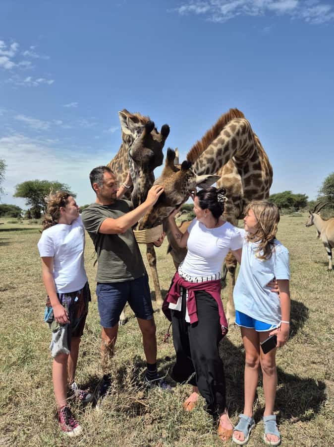 Arusha: Day Trip to Serval Wildlife - Feed Giraffes & Lions - Who Should Book This Trip, and Who Might Want Another Option
