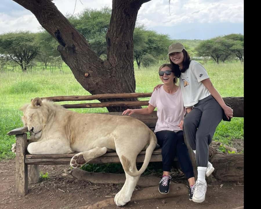 Arusha: Day Trip to Serval Wildlife - Feed Giraffes & Lions - Serval Wildlife Sanctuary: Why This Lion and Giraffe Day Feels Different