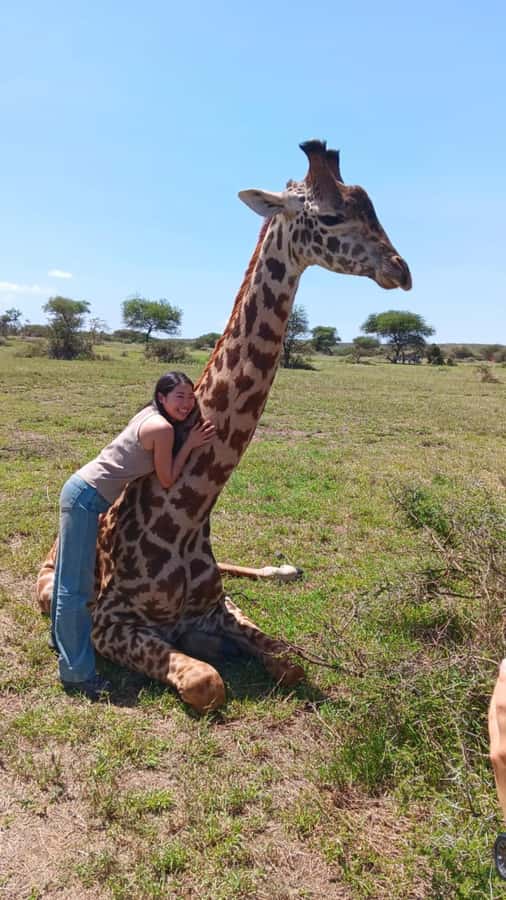 Arusha: Day Trip to Serval Wildlife - Feed Giraffes & Lions - The Guided Bush Walk and the Walk on Foot: Slower Wildlife Time