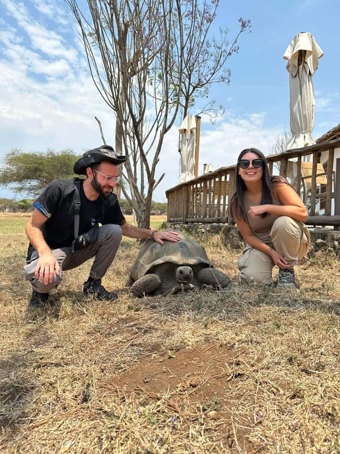 Arusha: Day Trip to Serval Wildlife - Feed Giraffes & Lions - Picnic Lunch in Nature, Plus a Cultural Glimpse