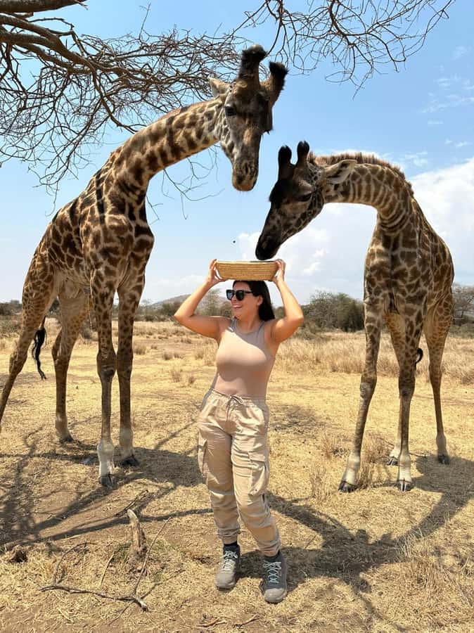 Arusha: Day Trip to Serval Wildlife - Feed Giraffes & Lions - What the Price Really Covers: Transfers, Entry, Feeding, and Small-Group Value