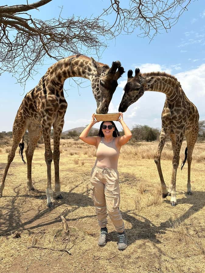 Arusha: Day Trip to Serval Wildlife - Feed Giraffes & Lions - Morning Pickup and the 2 to 2.5 Hour Ride Out of Town