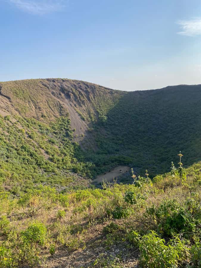 Arusha: Golden Hour Walk & Sunset Viewpoint Over Mount Meru - Key highlights you’ll feel in your first 30 minutes
