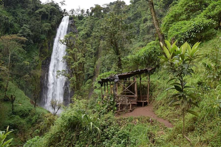 Arusha: Materuni Waterfalls, Coffee, and Hotsprings Tour - Key points before you go