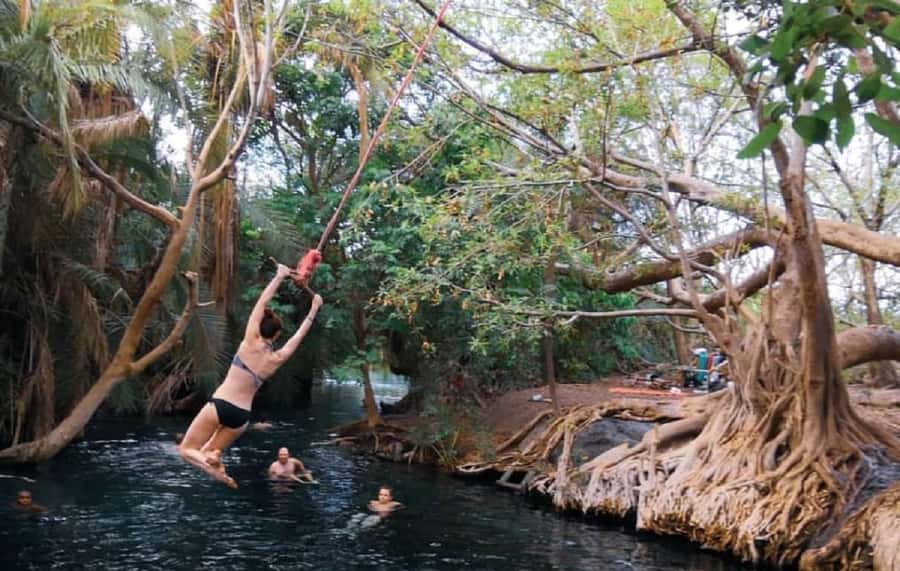 Arusha: Materuni Waterfalls, Coffee, and Hotsprings Tour - The Materuni-Coffee-Hot Spring Day That Feels Like a Local Rhythm