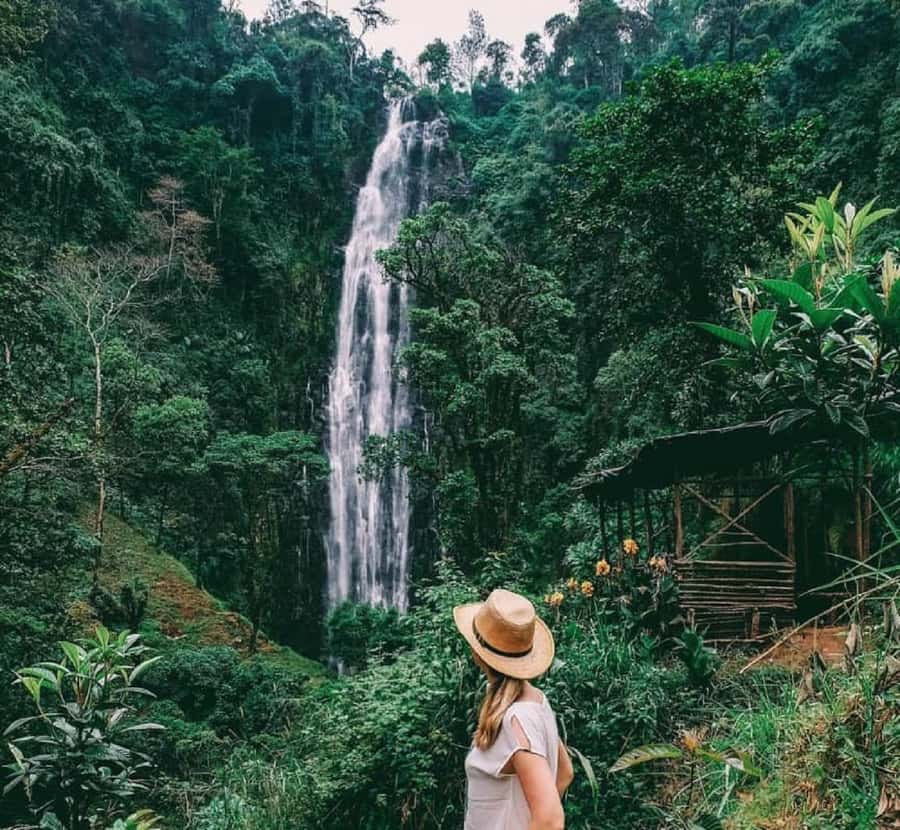 Arusha: Materuni Waterfalls, Coffee, and Hotsprings Tour - Getting From Moshi to Materuni Village: Private Transport, Small-Group Pace
