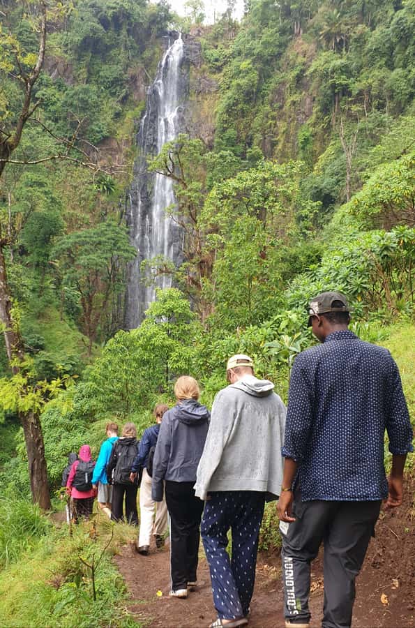 Arusha: Materuni Waterfalls, Hot Springs and/or Coffee Tour - Key highlights you will actually notice