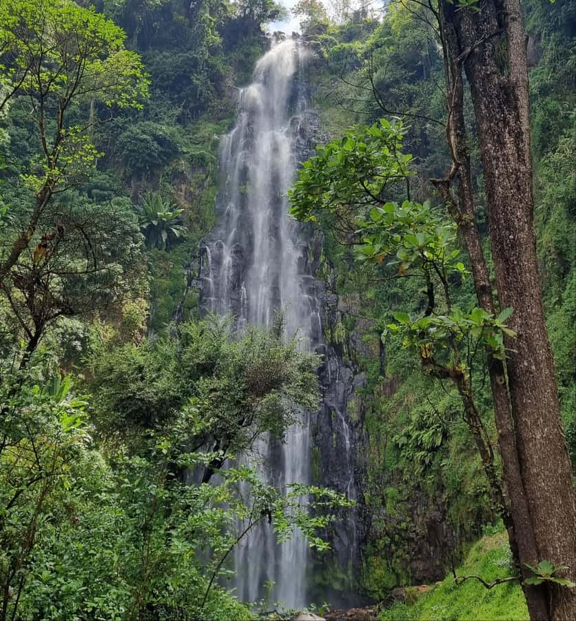 Arusha: Materuni Waterfalls, Hot Springs and/or Coffee Tour - Materuni Waterfall: 85 meters of power, plus a real walk