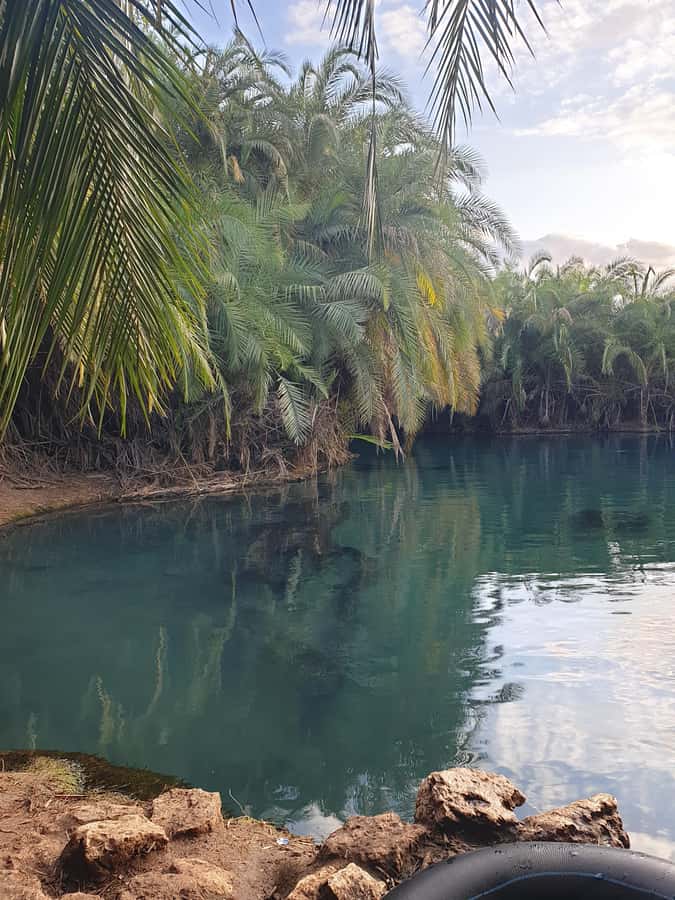 Arusha: Materuni Waterfalls, Hot Springs and/or Coffee Tour - Coffee plantation to manual brewing: what you actually learn