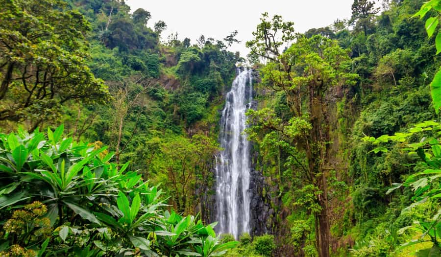 Arusha: Materuni Waterfalls, Hot Springs and/or Coffee Tour - Pacing and weather reality for a 5 to 10 hour day