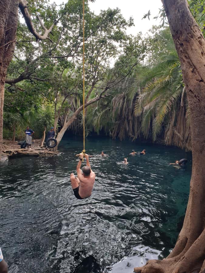 Arusha: Materuni Waterfalls, Hot Springs and/or Coffee Tour - Price and value: why about $53 makes sense here