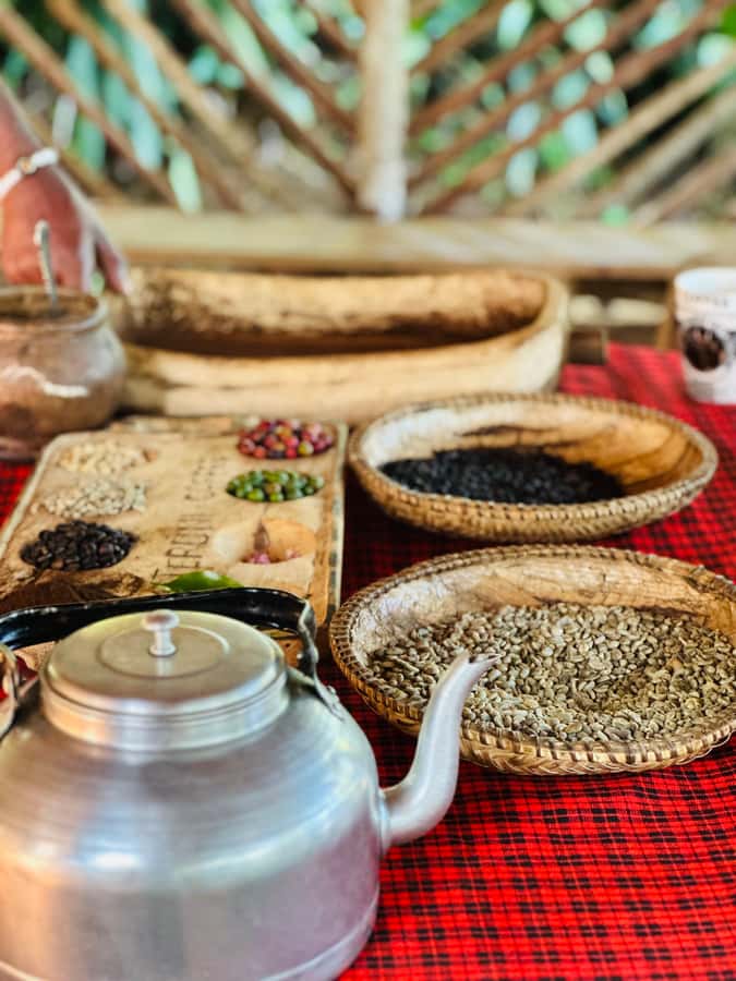Arusha: Materuni Waterfalls, Hot Springs and/or Coffee Tour - Who should book this tour, and who should think twice