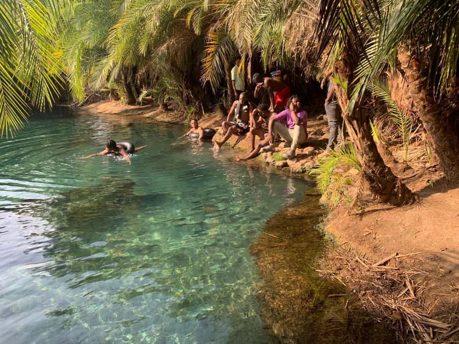 Arusha/Moshi Hot Springs Tour (Chemka) by Kingstone Asilia - Key Highlights You Should Care About