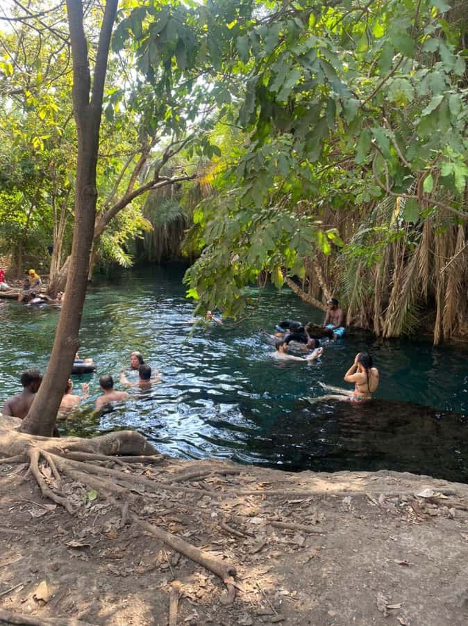 Arusha/Moshi Hot Springs Tour (Chemka) by Kingstone Asilia - Optional Lunch at the Springs: Extra Cost, Real Convenience