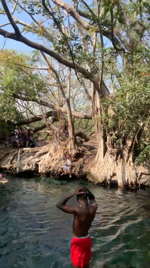 Arusha/Moshi Hot Springs Tour (Chemka) by Kingstone Asilia - Price and Value: What $100 Actually Buys You