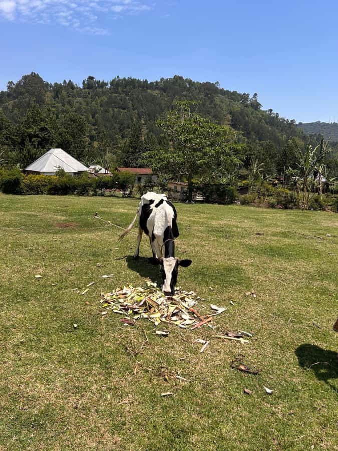 Arusha: Napuru Waterfalls Guided Hike - Napuru Waterfalls near Arusha: what makes this hike worth your time