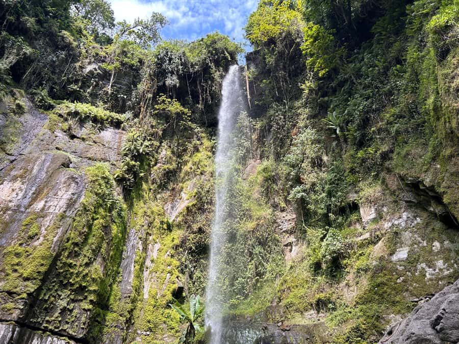 Arusha: Napuru Waterfalls Guided Hike - The 4-hour rhythm from Arusha: how the time is likely to feel