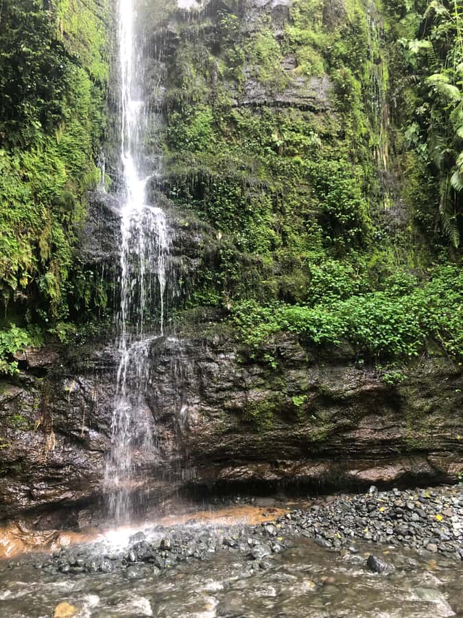 Arusha: Napuru Waterfalls Guided Hike - Guides who make it educational: Frank, Uhuru, Fred, Calvin