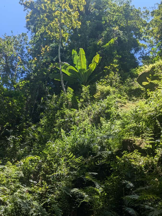 Arusha: Napuru Waterfalls Guided Hike - Price and park fees: is $50 good value?