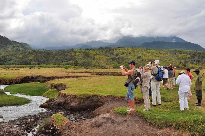 Arusha National Park Day Trip - Momela Lakes Flamingos: The Classic Photo Moment With Real Context
