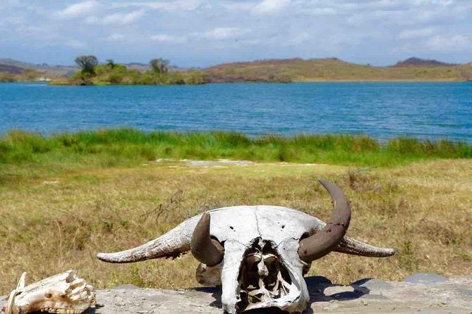 Arusha National Park Day Trip - Guides You Can Trust: The Real Value Isn’t Just the Route