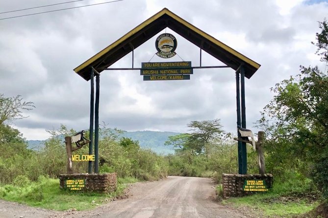 Arusha National Park Guided Day Tour from Arusha - Why This Arusha National Park Day Works So Well