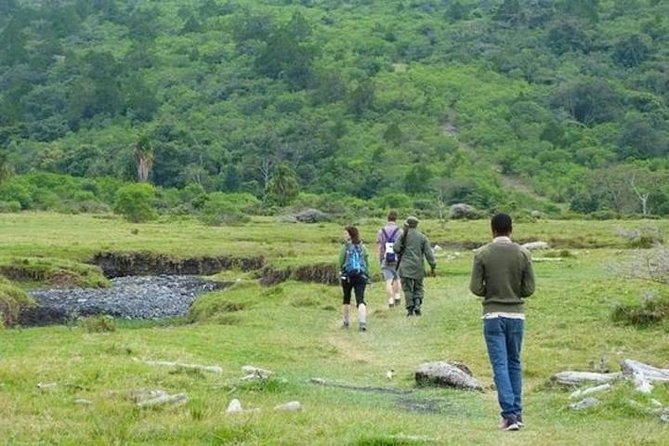 Arusha National Park Guided Day Tour from Arusha - Momella Lakes Stop: Flamingos, Alkaline Water, and Optional Add-Ons