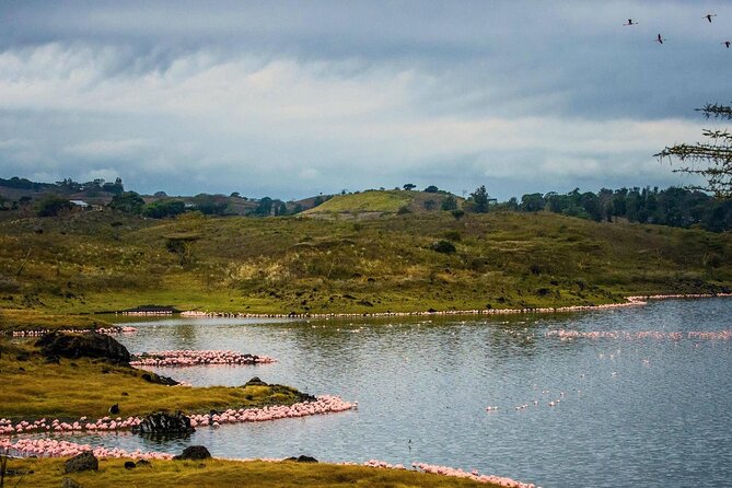 Arusha National Park Guided Day Tour from Arusha - What You Really Get for the Price (and Where Extra Costs Show Up)