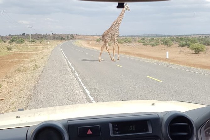 Arusha National Park Half Day Tour - From Pickup to Park Gate: Getting There Without Losing Safari Time
