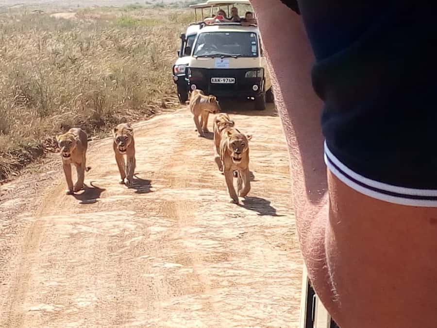 Arusha National Park: Private Jeep Tour - The Real Magic Is Getting Out of Arusha and Back Again