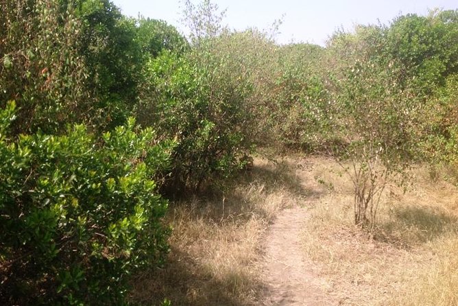 Arusha National Park Safari by Jeep - Price and logistics: how to judge value before you go