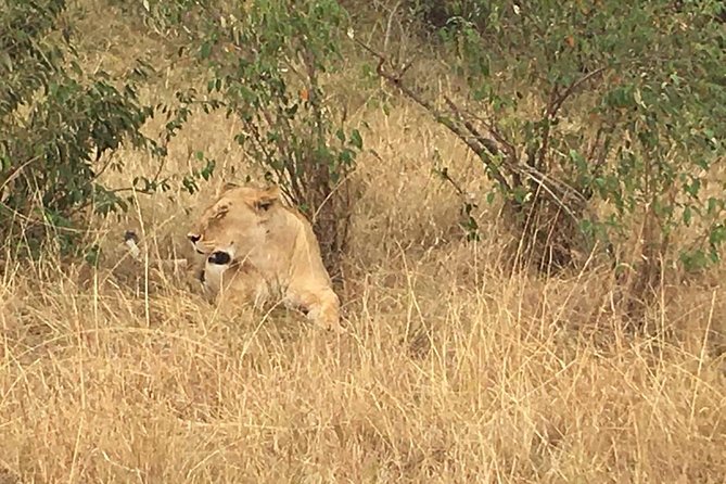 Arusha National Park Safari by Jeep - Who should book this Arusha National Park jeep safari