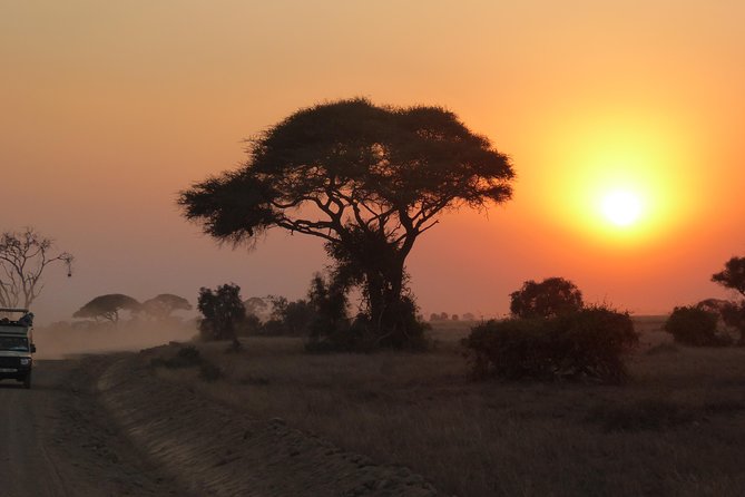 Arusha National Park Safari by Jeep - Getting out of Arusha fast: pickup, private transport, and timing