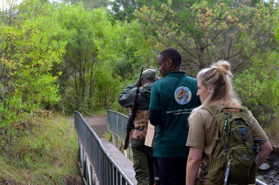 Arusha National Park: Walking Safari and Game Drive - Getting to the Park: How the 8 to 9 Hours Work