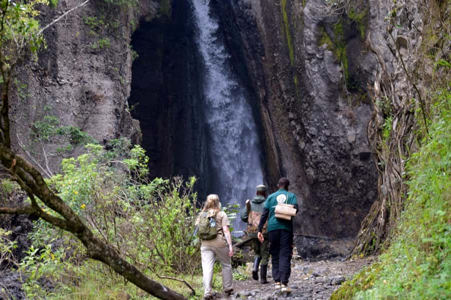 Arusha National Park: Walking Safari and Game Drive - The Walking Safari Part: Forest Trails, Waterfalls, and Marshlands
