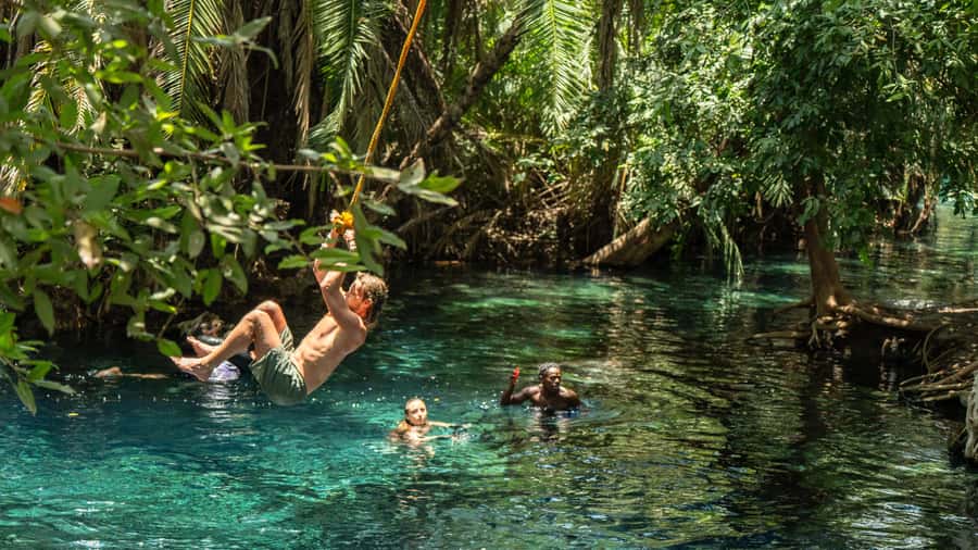 Arusha or Moshi : Hot Spring, Waterfall & Coffee Farm Tour - Key moments to plan for