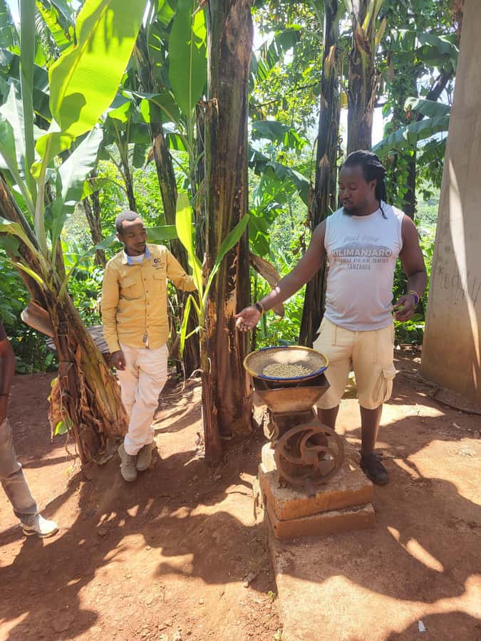 Arusha or Moshi : Hot Spring, Waterfall & Coffee Farm Tour - Price and value: is $53 per person fair for this mix?