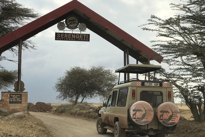 Arusha Private Transport Service in Tanzania - From Airport to Arusha, With Real Context From Day One