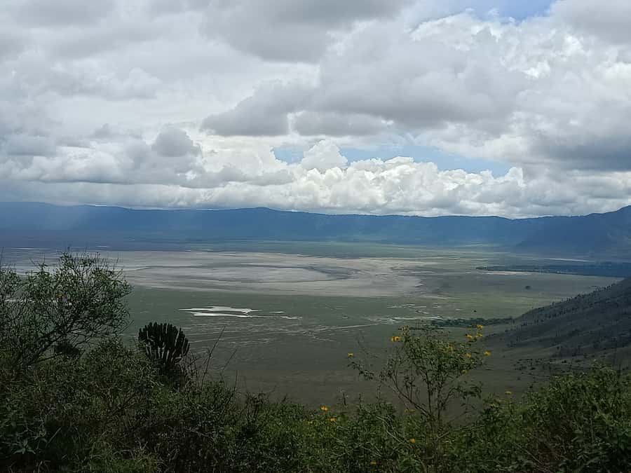 Arusha: Serengeti and Ngorongoro Multi-Day Camping Safari - Who should book, and who should think twice