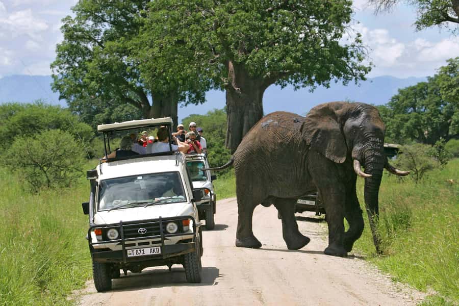 Arusha: Tarangire National Park Full-Day Wildlife Safari - Tarangire from Arusha: the drive you should plan for