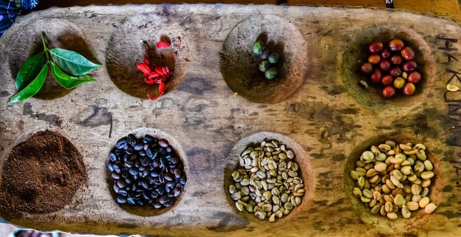 Arusha: Traditional Coffee Preparation(coffee tour) - Why this bean-to-cup coffee lesson in Arusha feels genuinely practical