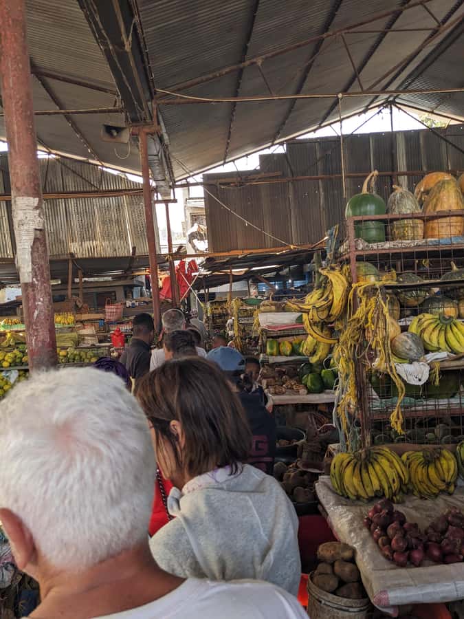 Arusha; Walking City Tour History, Culture & Lifestyle - Key highlights before you go