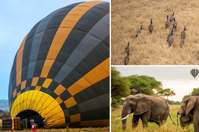 Balloon Safari & Bush Breakfast in Tarangire - Miracle Experience - Miracle Experience in Tarangire, Key Points at a Glance