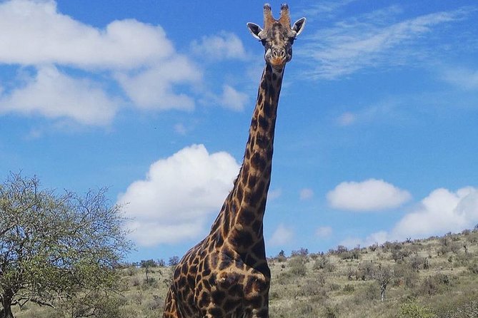 Best 3 days Tanzania shared Safari Tarangire Ngorororo Manyara - Day 3, Lake Manyara and the return to Arusha