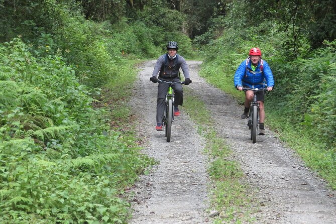 Best 5 Days Kilimanjaro Bike Trek Tour via Marangu Kilema Route - Price and value: what $3,292 is really buying you